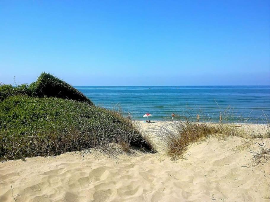Sea Of Rome - Holiday Home Lido di Ostia Eksteriør bilde